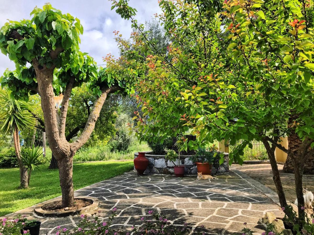 Pansion Episkopi Studios Skópelos Eksteriør bilde