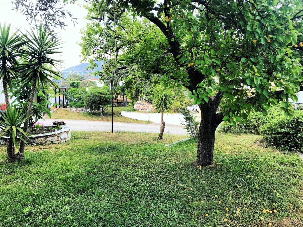 Pansion Episkopi Studios Skópelos Eksteriør bilde