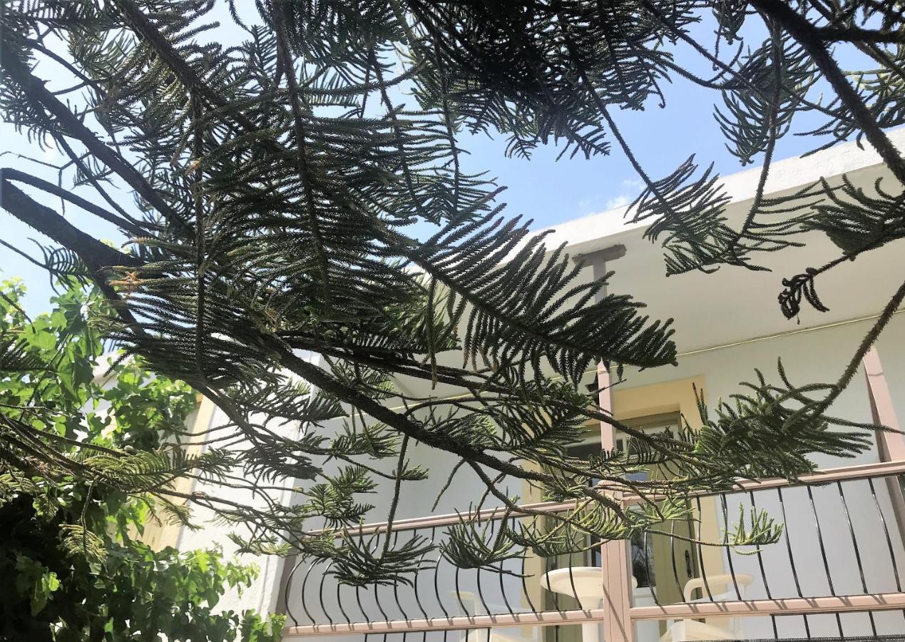 Pansion Episkopi Studios Skópelos Eksteriør bilde