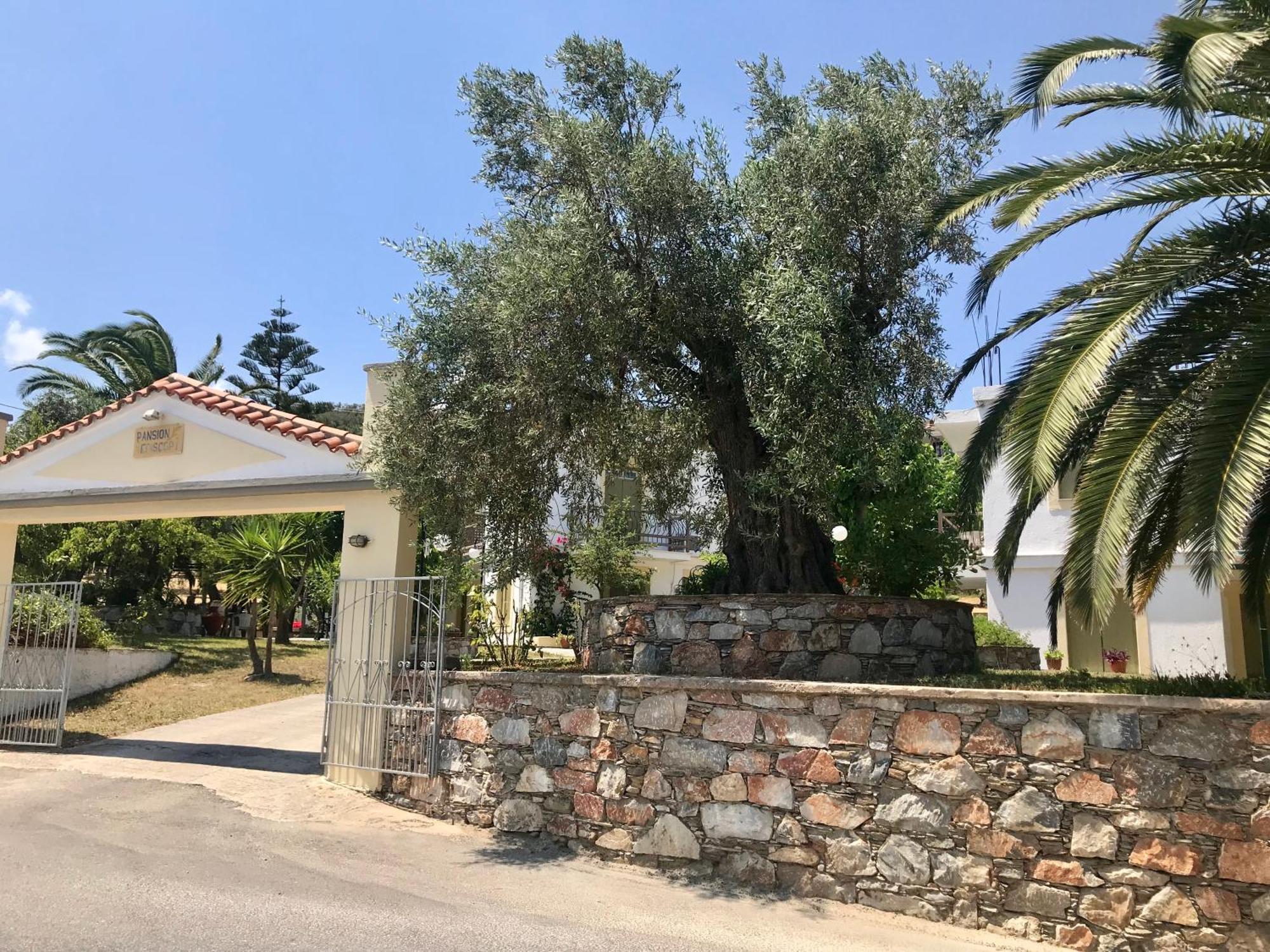Pansion Episkopi Studios Skópelos Eksteriør bilde